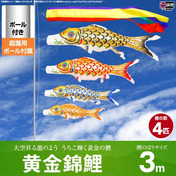 ̂ڂ p ̂ڂ ь ь 3m 7_Zbg ̂ڂ p |[t K[fZbg