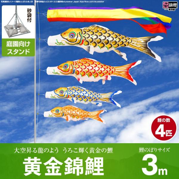 ̂ڂ p ̂ڂ ь ь 3m 7_Zbg 뉀 |[t K[fX^hZbg