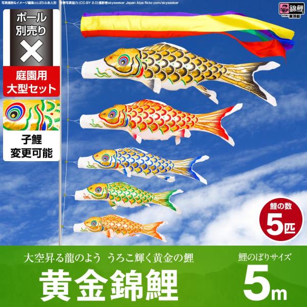 ̂ڂ p ̂ڂ ь ь 5m 8_Zbg 뉀 ^Zbg |[ ʔ