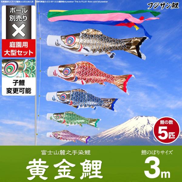 鯉のぼり 庭用 こいのぼり フジサン鯉 黄金鯉 3m 8点セット 庭園