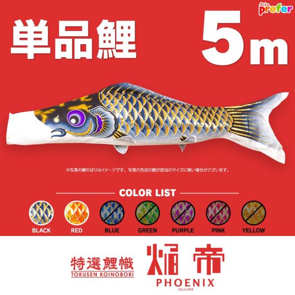 ̂ڂ Pi tFjbNX 5m Pi