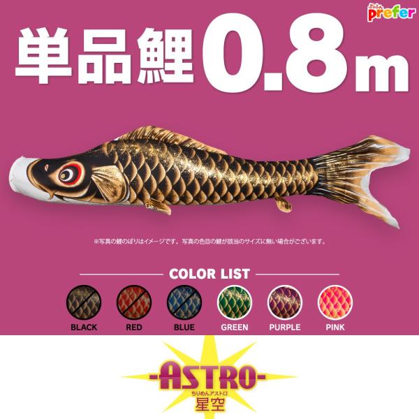 ̂ڂ Pi ASTRO ߂񐯋 0.8m Pi
