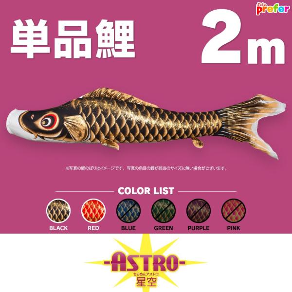 ̂ڂ Pi ASTRO ߂񐯋 2m Pi