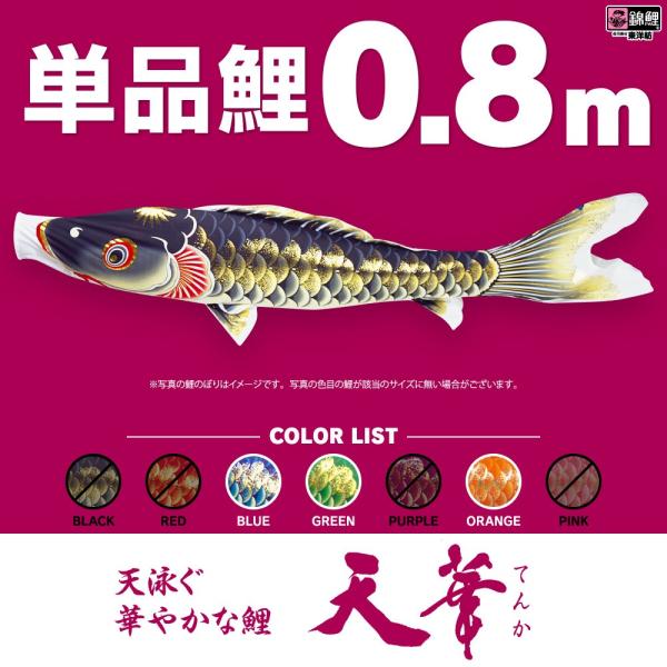 鯉のぼり 単品 天華鯉 0.8m 単品鯉 こいのぼり : tenka-008-p : 節句