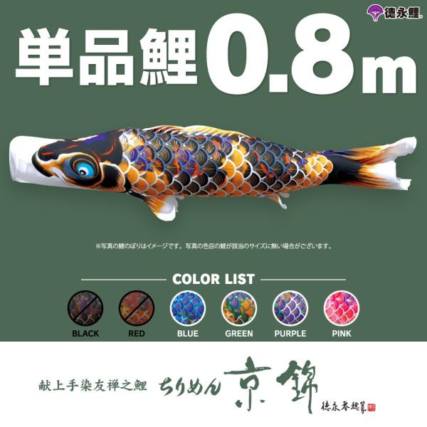 ̂ڂ Pi ߂񋞋 0.8m Pi    sN