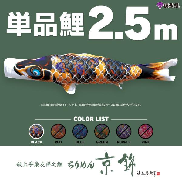 ̂ڂ Pi ߂񋞋 2.5m Pi 