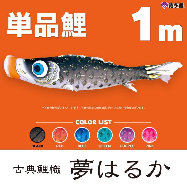 ̂ڂ Pi ͂邩 1m Pi     sN