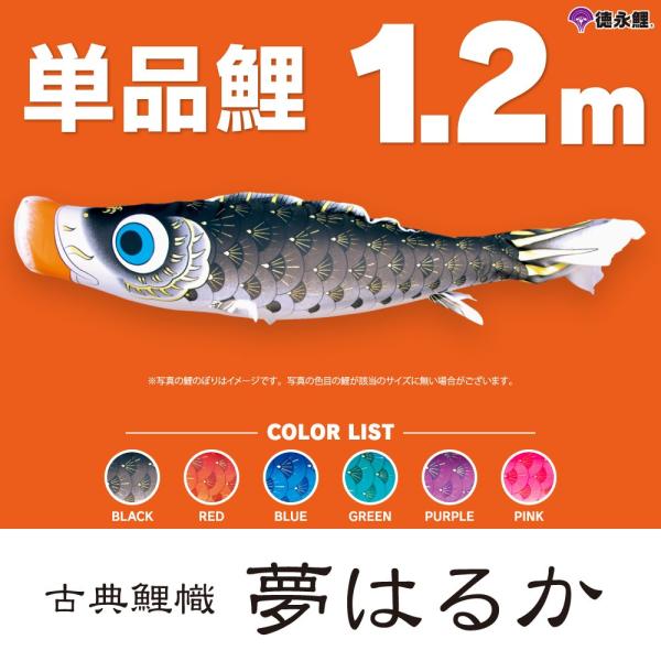 ̂ڂ Pi ͂邩 1.2m Pi      sN