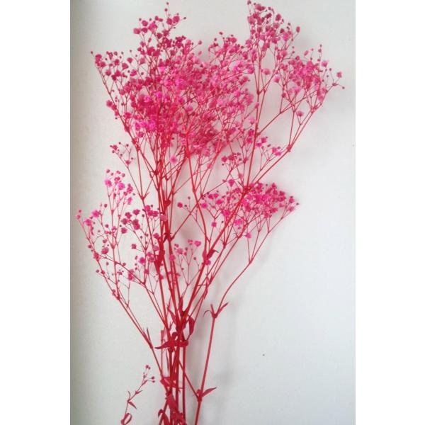 リーフ液を検討中のあなたにご案内(^^)《新製品》【COOL A*RT 3Dプレミアム】↑↑一度お試しください(^o^)(商品ページをご覧ください☆)ハーバリウムオイルの進化形を作りました！オイルではなく、固まるタイプなので、"瓶ナシ"で、...