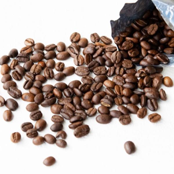 有機JAS ピースコーヒー 東ティモール 焙煎豆・中煎り 500g