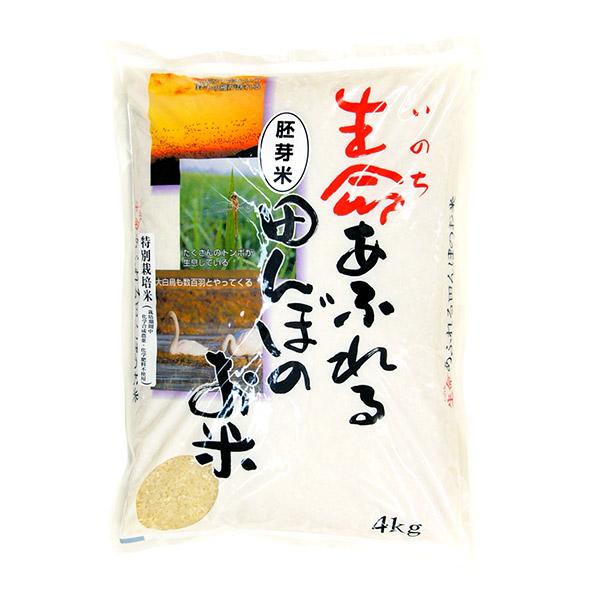 「生命あふれる田んぼのお米」   ひとめぼれ   胚芽米 4kg 【令和7年産】