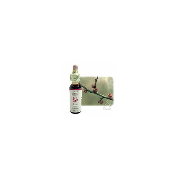バッチフラワーレメディ No.11 エルム 10ml