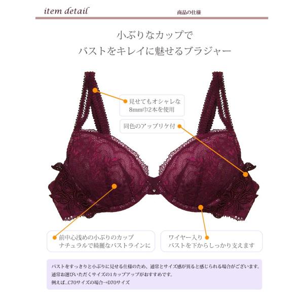 Sale ブラ単品 カーディナル ブラジャー Bカップ Cカップ Dカップ Eカップ Fカップ ボルドー ブラック ランジェリー 高級 黒 下着 日本製 Buyee Buyee Japanese Proxy Service Buy From Japan Bot Online
