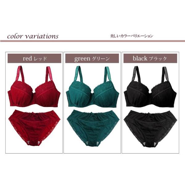 ブラ ショーツセット 大きいサイズ アガスティア Typeb Gカップ Hカップ Iカップ Jカップ レッド グリーン ブラック 下着 通販 Buyee Buyee 提供一站式最全面最專業現地yahoo Japan拍賣代bid代拍代購服務 Bot Online