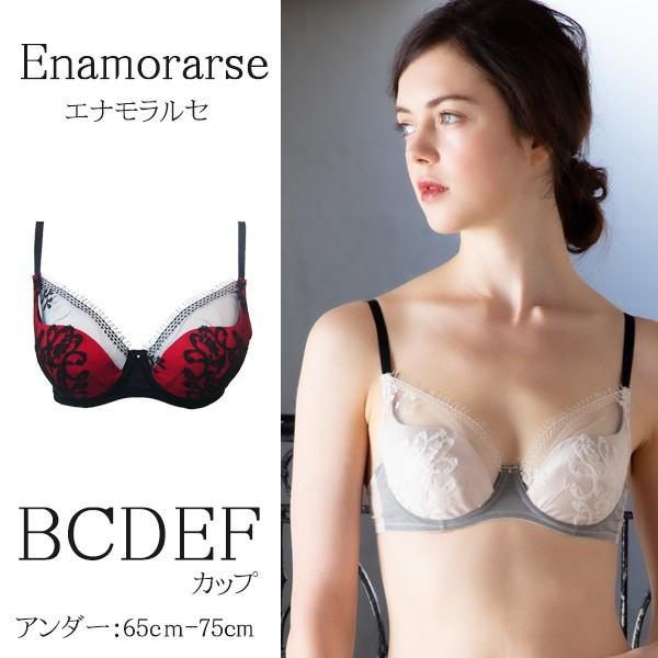 �u���W���[ �Ԃ炶��[ ���[�X B65 B70 B75 C65 C70 C75 D65 D70 D75 E65 E70 E75 F65 F70 F75 �x�[�W�� �� ���� �ʔ� ���f�B�[�X �G�i�������Z 30�� 40��
