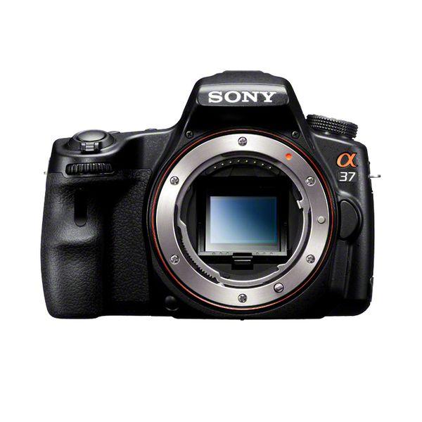 SONY 中古 1年保証 美品 α37 ボディ SLT-A37 : Premier Camera - 通販 