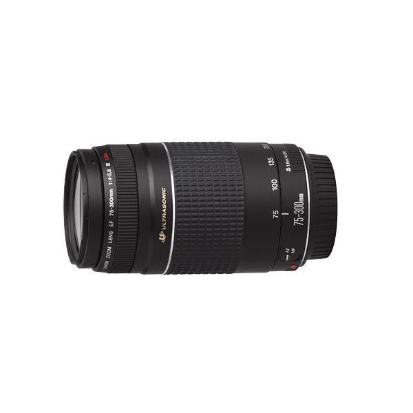 キヤノン（Canon） 中古 1年保証 美品 Canon EF 75-300mm F4-5.6 III