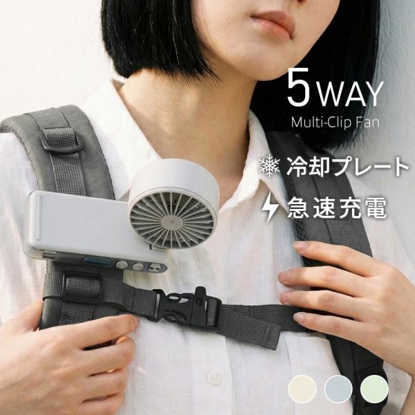 premium-interior_lff-multiclip01b