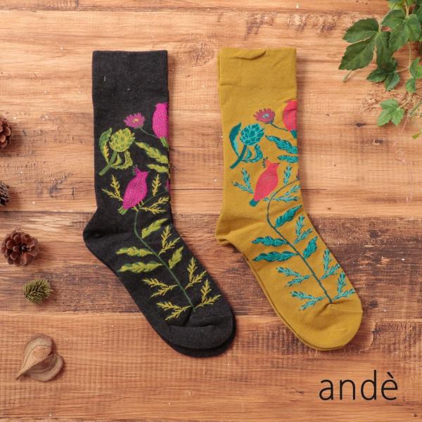 premium-lingerie_2114011011684