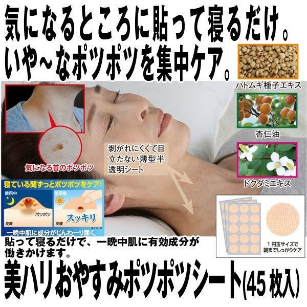 n₷݃|c|cV[gi45j(̃|c|cPA ̂YݏWPAV[g e N Tvg {fBPA)