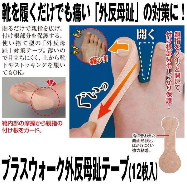 vXEH[NOe[v12(O e[sO e[sOV[ s  T|[g { N)