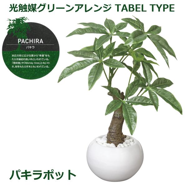 光触媒グリーンアレンジ「パキラポット」 (人工観葉植物 造花 フェイク 