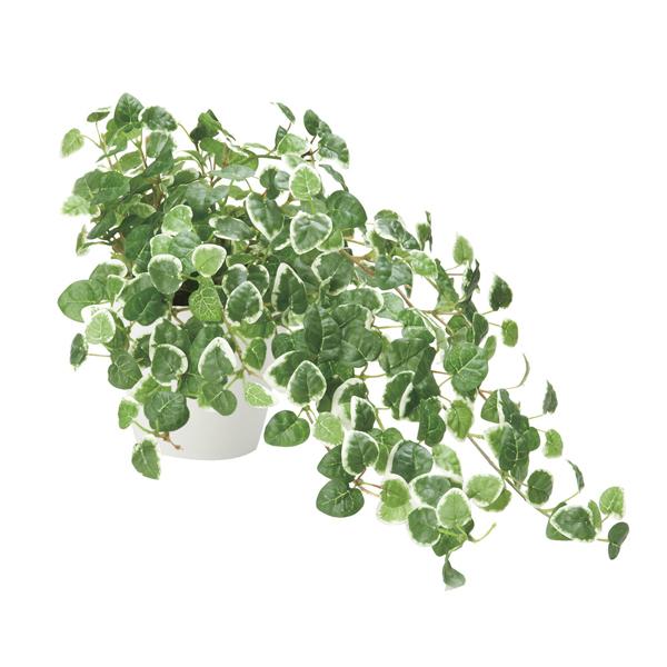 G}O[AWuv~vilHϗtA G}H V-CAT AWg ItBX GgX Vzj JXj Mtgj