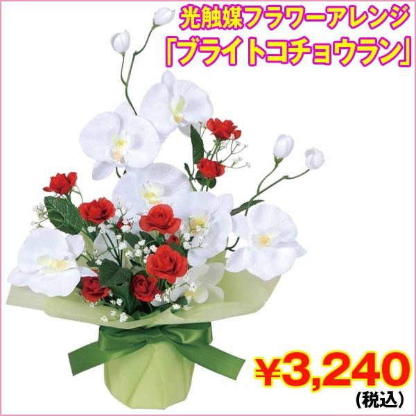 G}t[AWuuCgR`Ev (Ӓ,A[gt[, rO,Vzj,JXj,LO.Mtg)