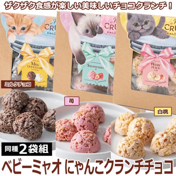 ホワイトデー プレゼント（ベビーミャオ にゃんこクランチチョコ 同種2
