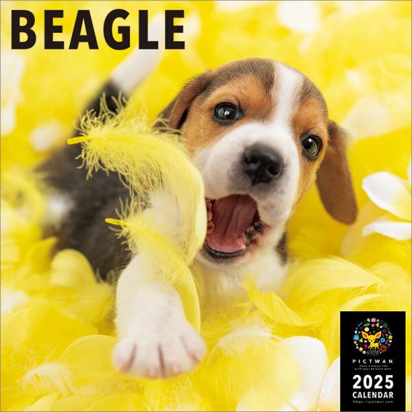 Dog The カレンダー ビーグルの人気商品 通販 価格比較 価格 Com