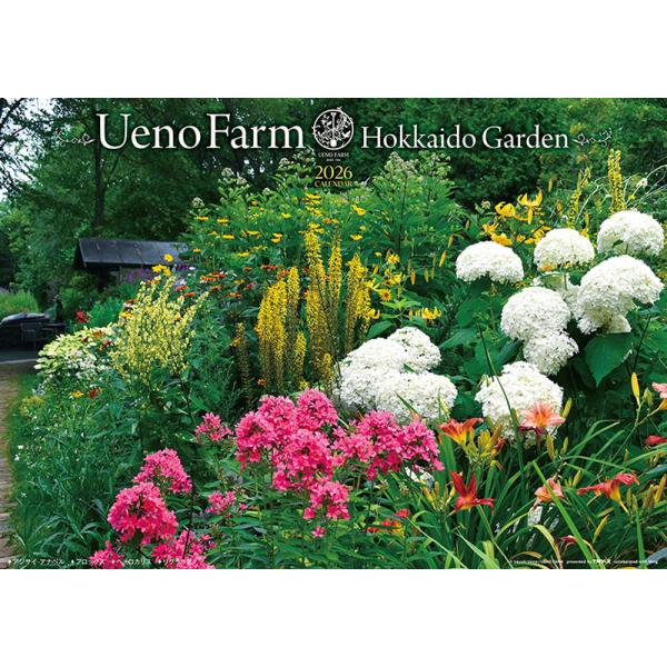 子供 カレンダーの人気商品 通販 価格比較 価格 Com