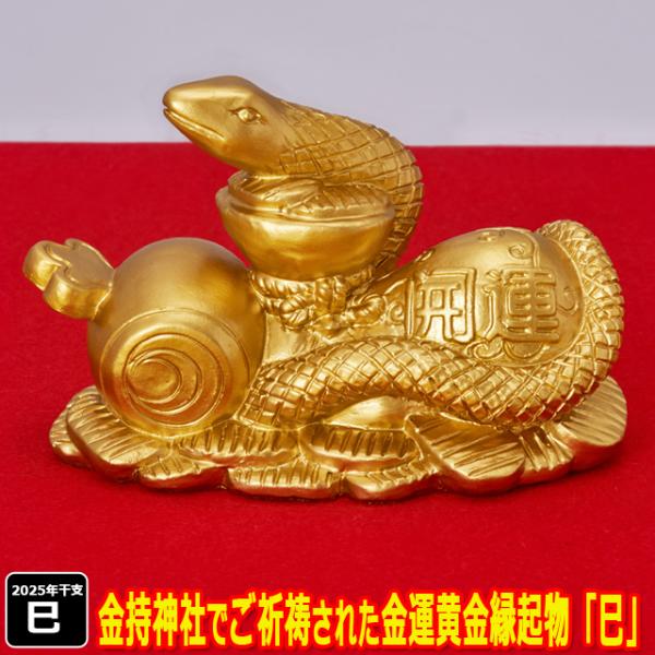 premium-pony_edn-0141