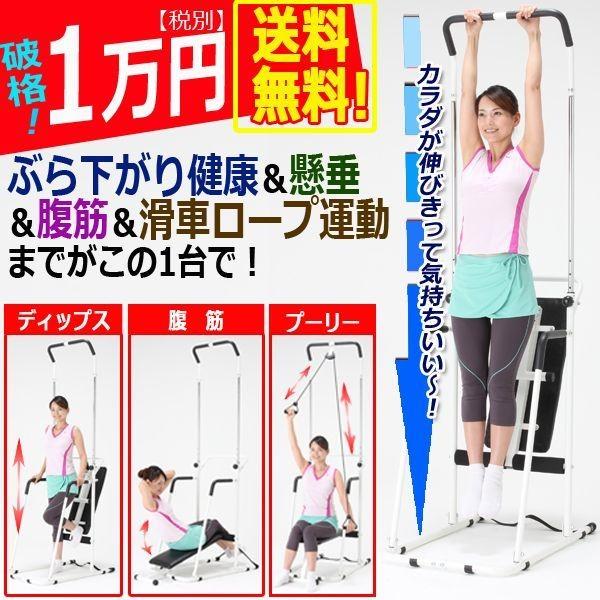 Newマルチトレーニングdx エクササイズ ジム プーリー コンパクト ぶら下がり健康器 懸垂 腹筋 滑車 Goto 64 プレミアムポニー 通販 Yahoo ショッピング