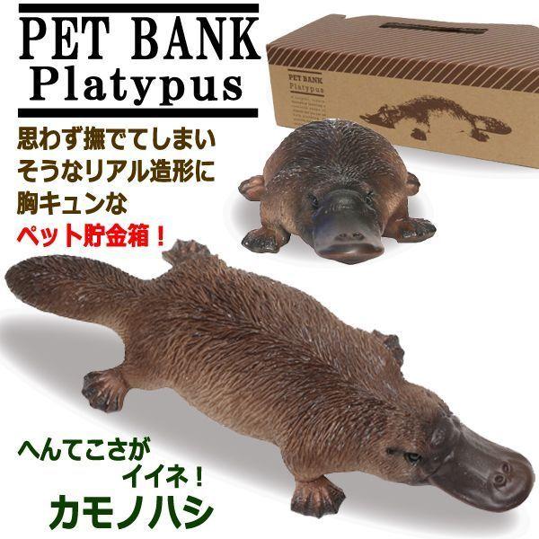 リアルなポリレジン製 ペットバンク カモノハシ 動物 オブジェ お金 コイン キュート ディテール 今にも動き出しそう 癒される 思わず撫でてしまいそう Inn 113 プレミアムポニー 通販 Yahoo ショッピング