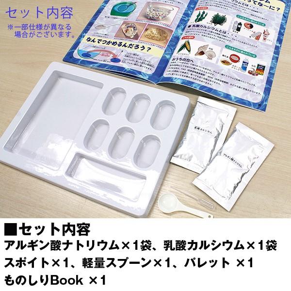 不思議実験 つかめる水 セット 実験キット 水がつかめる 触れる図鑑 工作 自由研究 夏休みの宿題 課題 小学生 体験型実験セット Buyee Buyee Japanese Proxy Service Buy From Japan Bot Online