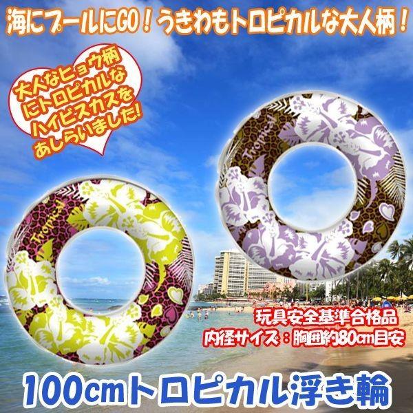 100cmgsJ( ukiwa  ͖WOcm VуObY C v[ T}[ObY)