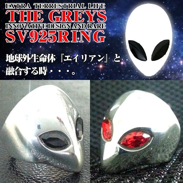 !OC3DtFCXSV925O(w,Y,GREYS,GCA,^,Vo[925,XtXL[NX^,t@bVO,SV925)