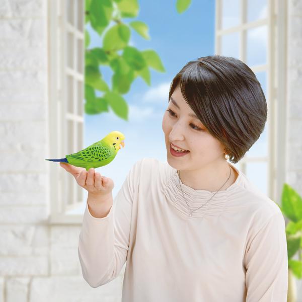 毎日おしゃべり天才インコちゃん 玩具 おもちゃ 子供 高齢者 1人暮らし 15歳以上 鳥 音声認識 脳トレ 歌う クイズ ゲーム くちばし Buyee Servis Zakupok Tretim Licom Buyee Pokupajte Iz Yaponii