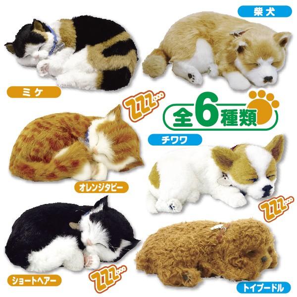 すやすや居眠りパーフェクトペット 猫 ネコ 犬 ワンコ ぬいぐるみ 本物そっくり Buyee Buyee 日本の通販商品 オークションの代理入札 代理購入