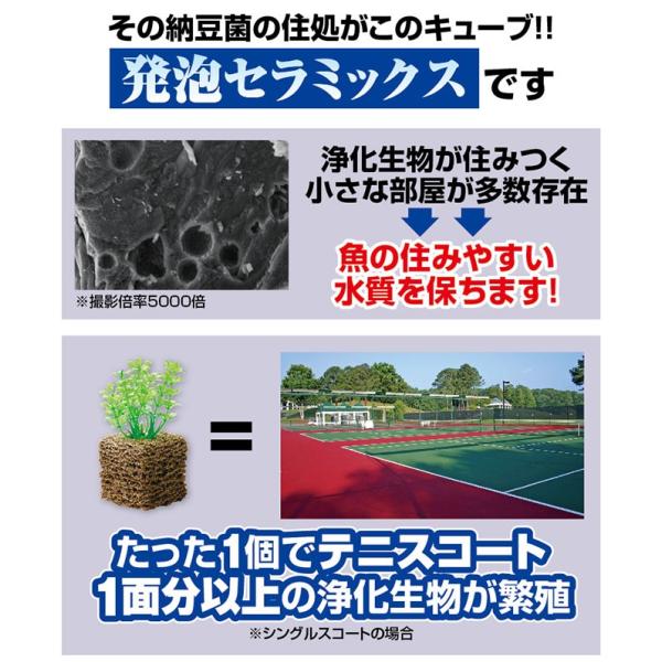 水槽水を浄化し続ける バイオキューブ キレイな水 水槽浄化 水換え不要 発泡セラミックス 納豆菌 浄化生物 お掃除 水道代 水質保持 Buyee Buyee Japanese Proxy Service Buy From Japan Bot Online