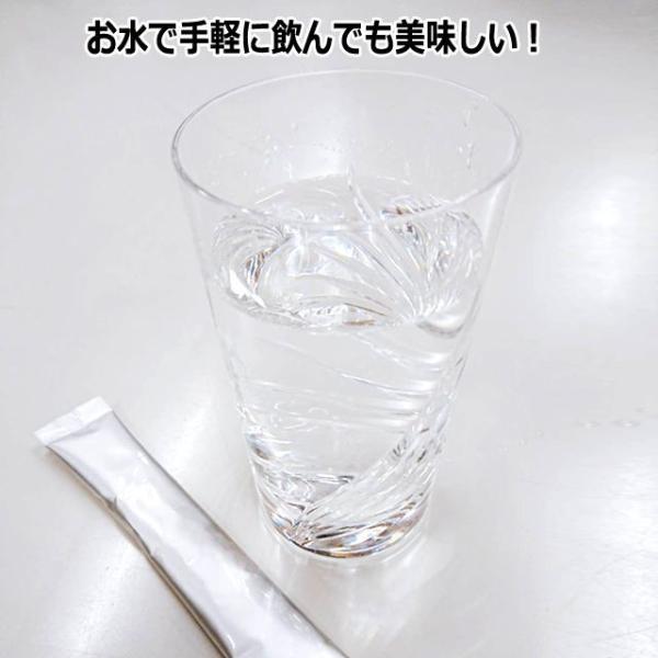 premium-pony_py-all-s_5_d_20240610182322