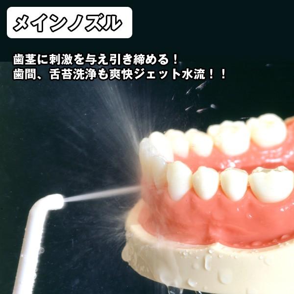 送料無料リコーエレメックス デントレックス 口腔洗浄器 Ricoh Dentrex デンタルケア 歯 脈動ジェット水流 歯間 歯周ポケット 口臭予防 虫歯予防 Buyee Buyee 日本の通販商品 オークションの代理入札 代理購入