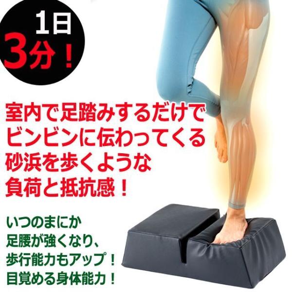 premium-pony_ron-458_3_d_20240720184548