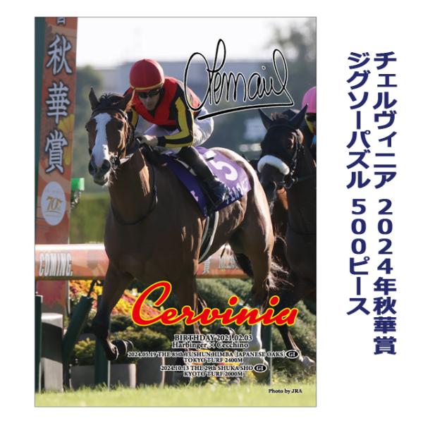 premium-pony_snt-cvnjp