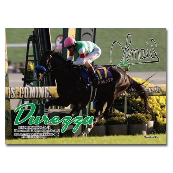 ドゥレッツァ（2023年菊花賞）ジグソーパズル500ピース 爆買 (競馬 競走馬 38×53cm 菊花賞 中央競馬)