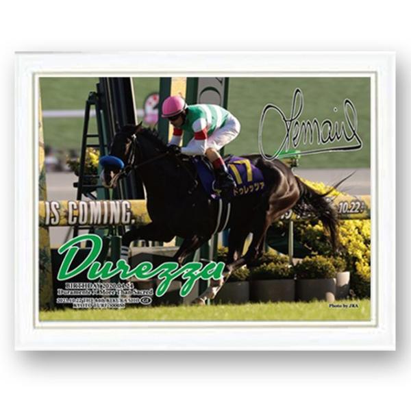 premium-pony_snt-drjpf