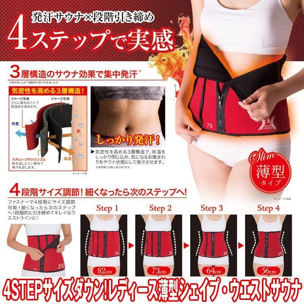 4STEPTCY_E!fB[X^VFCvEGXgTEi (,iK,ڕW,VFCvAbv,_CGbg,xg,t@Xi[,Nr)