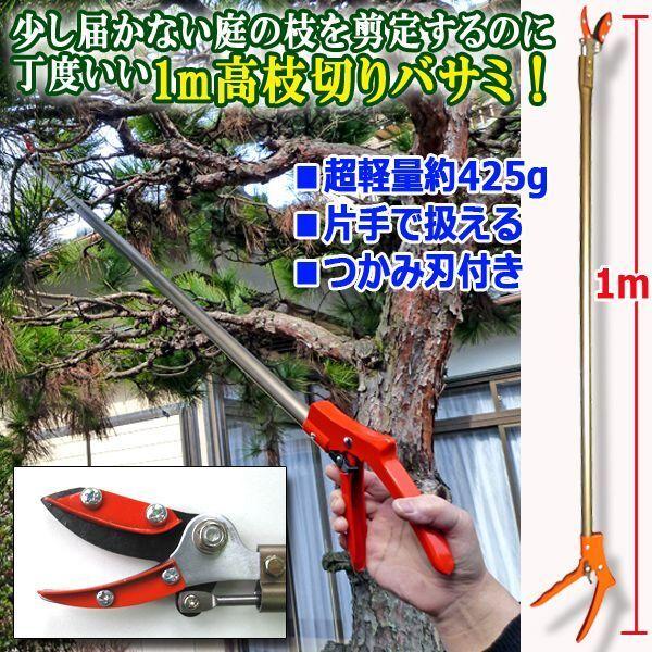 Ȃg₷Iyʍ}؂oT~1M  ( ̉ ݐn n etR[eBO ͂Ȃ̎} ؒf }̃Jbg nT~ ؂ꖡ)