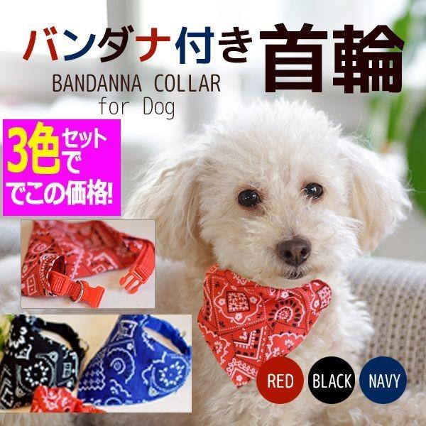 ワンちゃん 犬用 バンダナ付き首輪3色組 可愛い Sns 愛犬 ストリート ファッション 写真映え 3色セット ワンタッチ Yism K プレミアムポニー 通販 Yahoo ショッピング