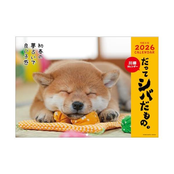 2026 Calendar だってシバだもの。 壁掛けカレンダー2026年 いぬ スケジュール 柴犬 写真
